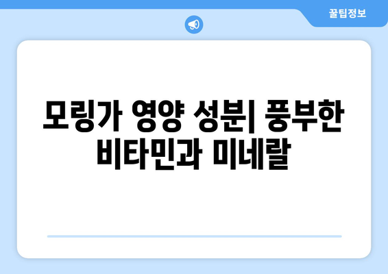 모링가 효능과 부작용, 영양 성분, 섭취 방법 총정리 | 건강, 식품, 슈퍼푸드, 모링가 효능, 모링가 부작용