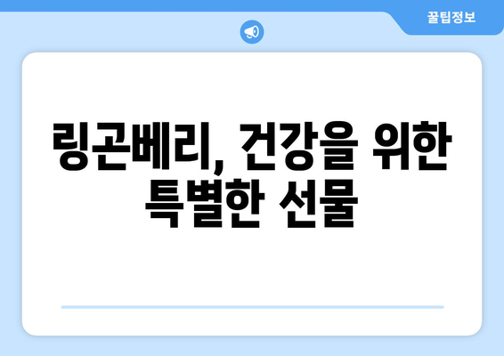 링곤베리의 효능과 부작용, 맛있게 즐기는 방법까지! 고르는 팁부터 보관법까지 완벽 가이드 | 링곤베리, 효능, 부작용, 보관, 먹는법, 고르는법