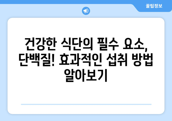 단백질 보충의 지름길! 💪 최고의 단백질 식품 10가지 | 단백질 풍부한 음식, 건강 식단, 근육 성장