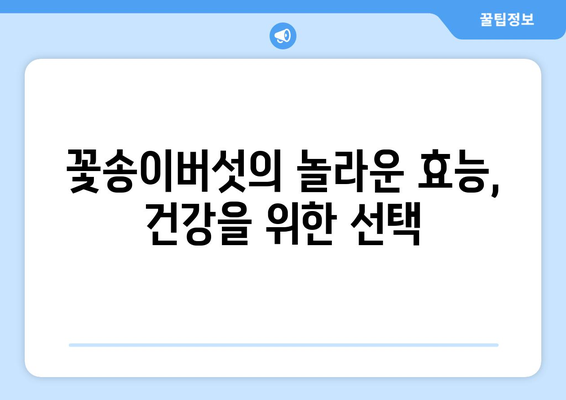 꽃송이버섯 효능, 부작용, 먹는법 & 송이버섯과의 차이점 완벽 정리 | 건강, 식품, 버섯