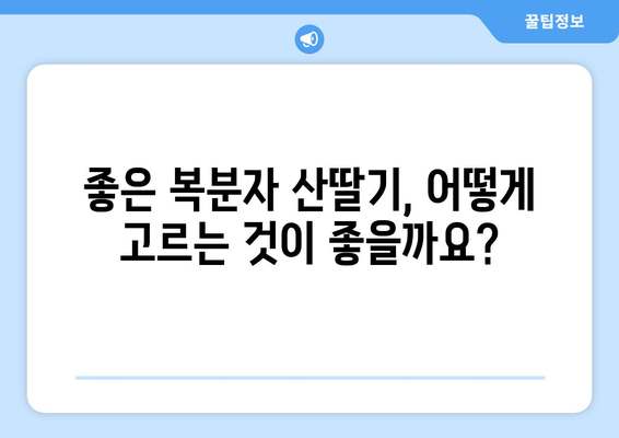 복분자 산딸기| 효능, 부작용, 고르는 법, 먹는 법 총정리 | 건강, 효능, 부작용, 선택 가이드