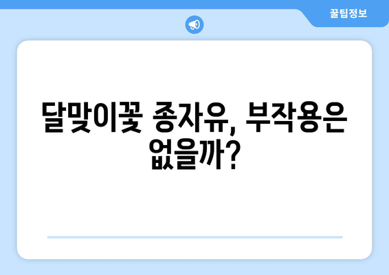 달맞이꽃 종자유 효능과 부작용 완벽 정리| 건강에 미치는 영향 | 달맞이꽃, 건강, 오메가 6, 피부, 부작용