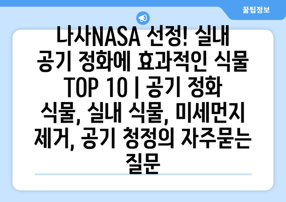 나사NASA 선정! 실내 공기 정화에 효과적인 식물 TOP 10 | 공기 정화 식물, 실내 식물, 미세먼지 제거, 공기 청정