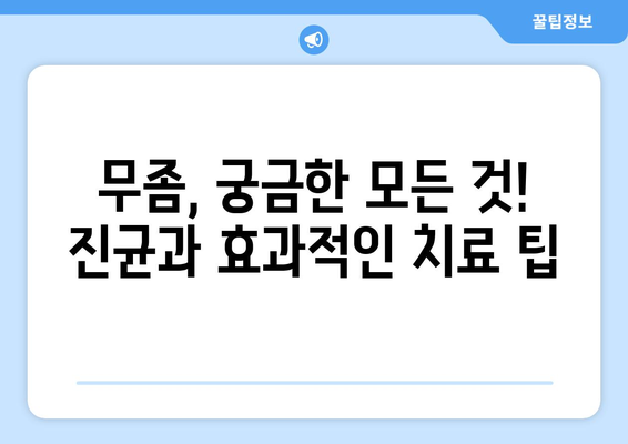 무좀, 증상부터 치료까지 완벽 가이드 | 원인, 치료법, 예방법, 발냄새, 진균, 효과적인 치료 팁