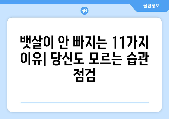 타임TIME이 알려주는 뱃살이 빠지지 않는 11가지 이유 | 뱃살 감량, 비만, 건강, 다이어트