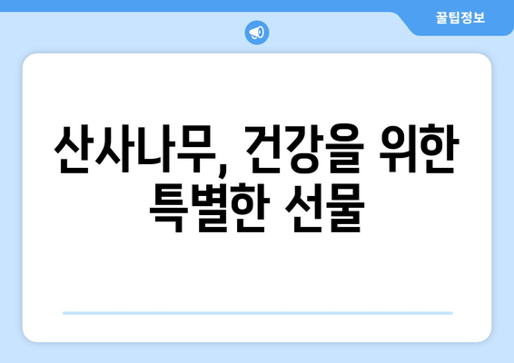 산사나무 효능, 부작용, 열매 먹는 법 총정리| 꽃사과와 비교분석 | 산사나무 효능, 산사나무 부작용, 산사나무 열매, 꽃사과