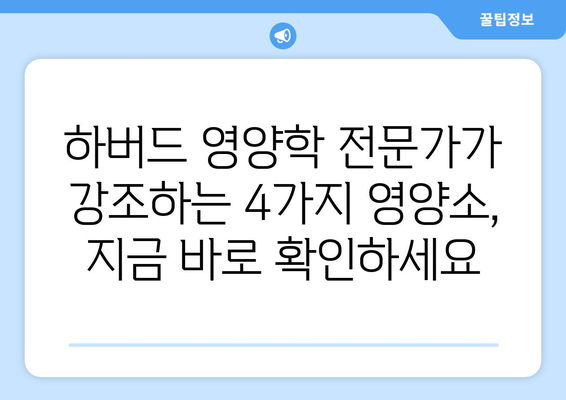 하버드 영양학 전문가가 추천하는 꼭 챙겨야 할 4가지 필수 영양소 | 건강, 영양, 식단, 하버드대학교