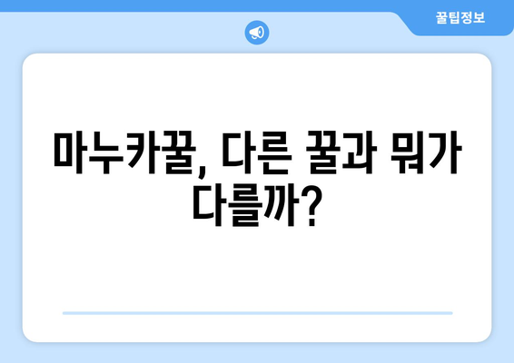 마누카꿀의 놀라운 효능과 부작용, 먹는법까지 완벽 정복 | 마누카꿀, 효능, 부작용, 먹는법, 다른 꿀과의 차이