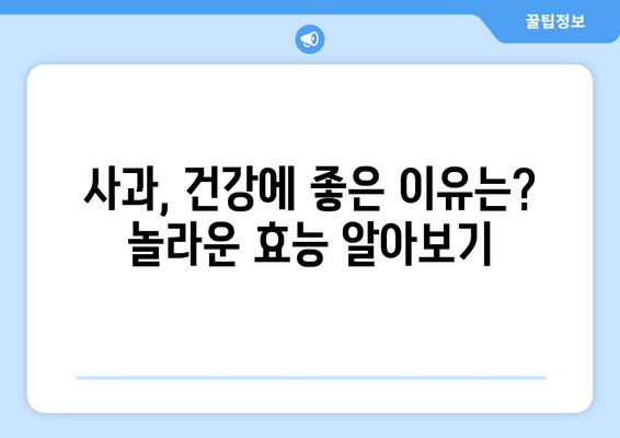 사과의 놀라운 효능과 부작용, 영양성분까지! 똑똑하게 고르는 방법 | 건강, 과일, 섭취, 주의사항