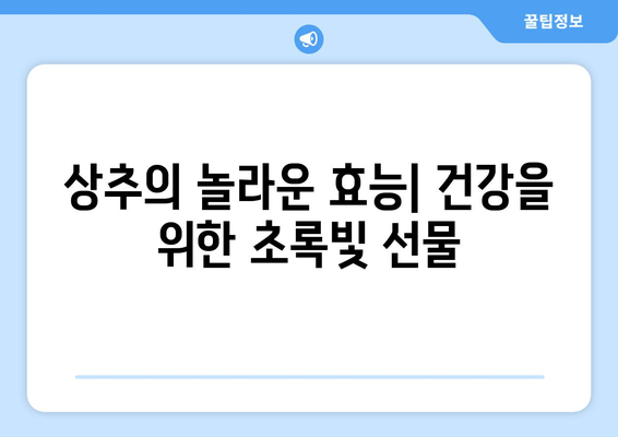 상추, 제대로 알고 먹자! 효능, 영양, 고르는법, 보관법, 먹는법 완벽 정복 | 채소, 샐러드, 건강