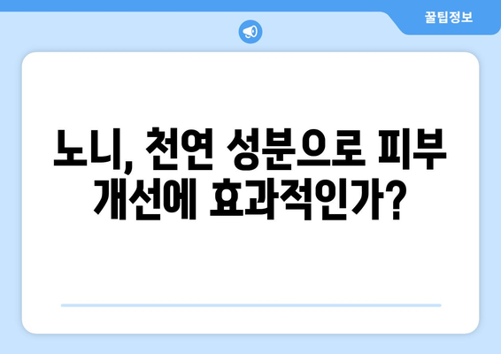 노니의 효능, 아토피에도 도움이 될까요? | 비타민, 항산화, 피부 개선, 천연 성분