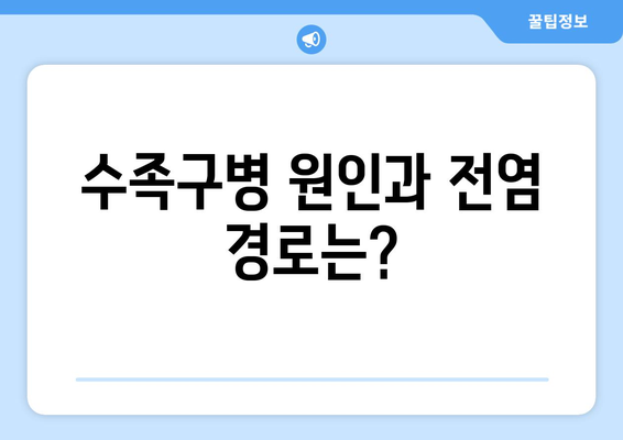 수족구병 완벽 가이드| 증상, 원인, 치료, 예방 | 어린이 질병, 바이러스 감염, 손발입병