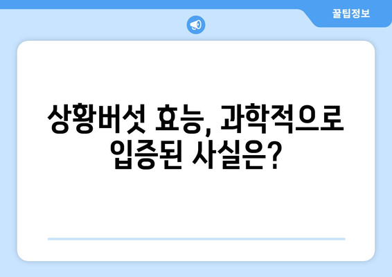 상황버섯 완벽 가이드| 효능, 부작용, 종류, 먹는 방법, 진짜 vs 가짜 구별법 | 건강, 버섯, 약용버섯