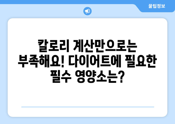 현명한 다이어트, 얼마나 어떻게 먹어야 할까? | 건강한 식단, 다이어트 팁, 체중 감량