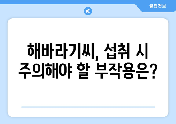 해바라기씨의 놀라운 효능과 주의해야 할 부작용, 영양성분까지 완벽 분석 | 건강, 식품, 영양, 해바라기