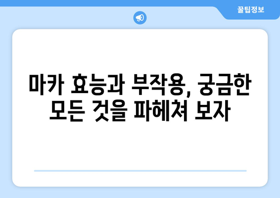 마카 효능, 부작용, 먹는법까지! 마카의 모든 것을 파헤쳐 보세요 | 마카 효능, 마카 부작용, 마카 먹는법, 마카 효능 부작용, 마카 효능 부작용 먹는법