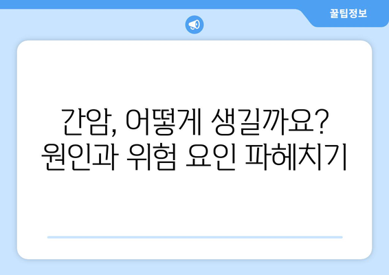 간암 발병 위험 요인과 원인| 알아야 할 중요 정보 | 간암, 간암 원인, 간암 위험 요인, 예방, 관리