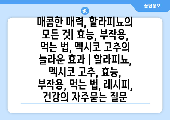 매콤한 매력, 할라피뇨의 모든 것| 효능, 부작용, 먹는 법, 멕시코 고추의 놀라운 효과 | 할라피뇨, 멕시코 고추, 효능, 부작용, 먹는 법, 레시피, 건강