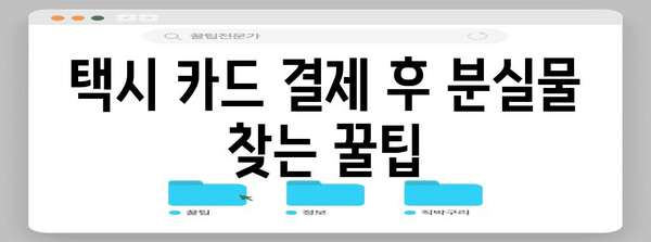 분실물 찾기 101 | 택시 카드 결제 후 꿀팁과 주의사항