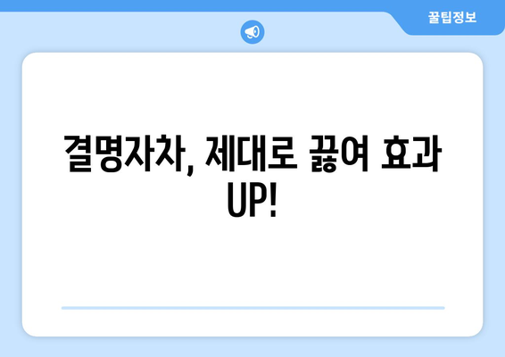 결명자 효능 부작용, 결명자차 제대로 끓이는법 완벽 가이드 | 눈 건강, 혈관 건강, 숙변 제거, 효과적인 섭취법