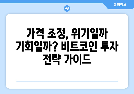 비트코인 가격 조정| 전문가 예측 & 범위 분석 | 2023년 시장 전망 & 투자 전략