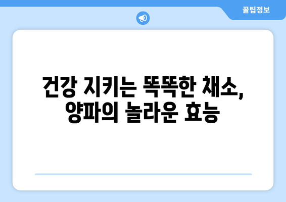 양파의 놀라운 효능부터 보관법, 장아찌까지! | 양파 효능, 종류, 보관, 장아찌 담그는 법, 레시피