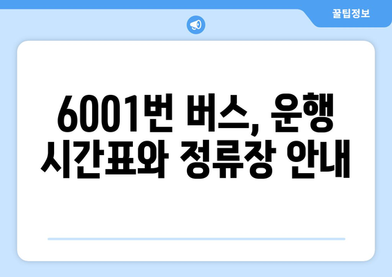 6001번 공항버스 완벽 가이드 | 운행 시간, 정류장, 요금 정보, 노선 상세 안내