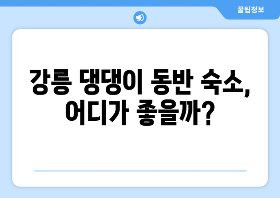 강릉 댕댕이 동반 숙소 BEST 3| 애견과 함께 떠나는 행복한 여행  | 강릉, 애견 동반 숙소, 추천, 댕댕이 여행