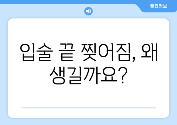 입술 끝 찢어짐 원인 알아보기| 흔한 증상과 해결 솔루션 | 입술 갈라짐, 입술 건조, 입술 습진, 치료 방법