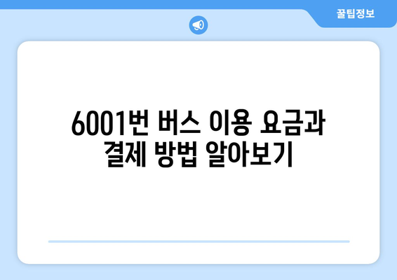 6001번 공항버스 완벽 가이드 | 운행 시간, 정류장, 요금 정보, 노선 상세 안내