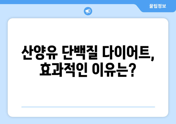 산양유 단백질, 체중 감량 다이어트에 효과적인가요? 효능부터 먹는 법까지 완벽 가이드 | 산양유, 단백질, 체중 감량, 다이어트, 건강