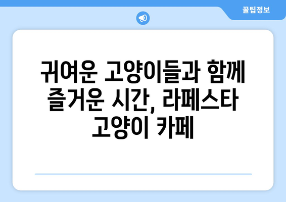 라페스타 고양이 카페 추천 | 냥이와 함께 힐링하세요! | 고양이 카페, 라페스타, 데이트, 힐링
