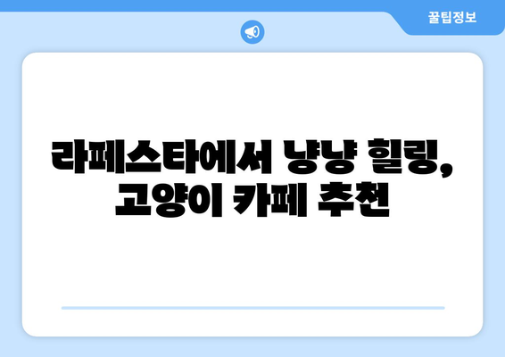라페스타 고양이 카페 추천 | 냥이와 함께 힐링하세요! | 고양이 카페, 라페스타, 데이트, 힐링
