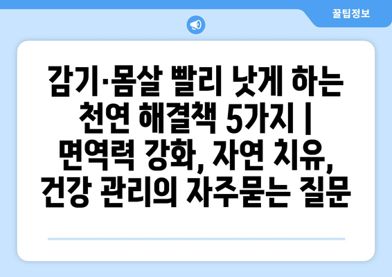 감기·몸살 빨리 낫게 하는 천연 해결책 5가지 | 면역력 강화, 자연 치유, 건강 관리