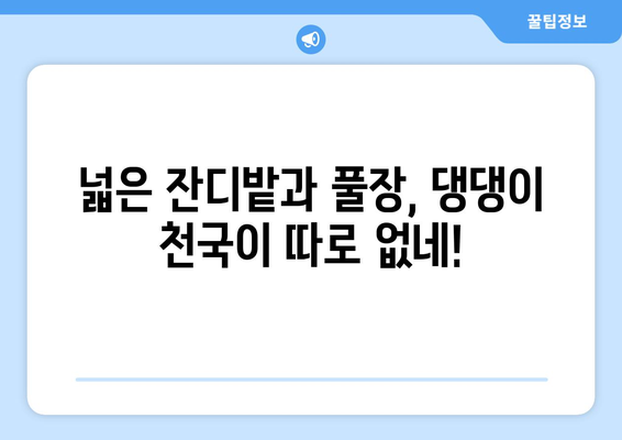 반려견과 함께 떠나기 좋은 힐링 풀빌라 펜션 5곳 추천 | 사랑하는 반려견과 특별한 여행 만들기 🐶