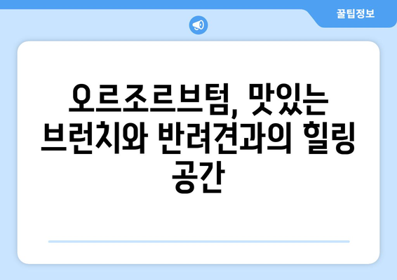 여의도 애견 동반 가능 브런치 카페| 오르조르브텀에서 즐거운 시간 보내기 | 강아지와 함께 맛있는 브런치, 서울 핫플레이스