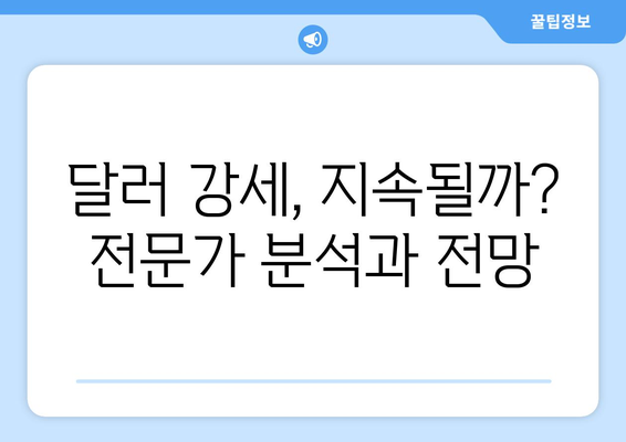 달러 투자 전략 심층 분석| 지속적인 강세 가능성과 투자 전략 가이드 | 달러, 투자, 전략, 강세, 분석, 가이드