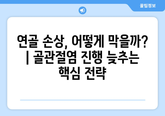 골관절염과 퇴행성 관절염| 증상, 원인, 예방법 완벽 가이드 | 관절 통증, 연골 손상, 운동, 식단