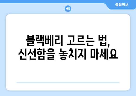 블랙베리 효능 & 부작용 완벽 가이드| 고르는 법, 먹는 법, 보관 방법까지! | 블랙베리, 건강 정보, 슈퍼푸드