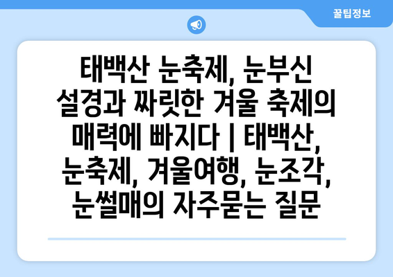 태백산 눈축제, 눈부신 설경과 짜릿한 겨울 축제의 매력에 빠지다 | 태백산, 눈축제, 겨울여행, 눈조각, 눈썰매