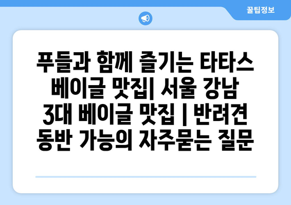 푸들과 함께 즐기는 타타스 베이글 맛집| 서울 강남 3대 베이글 맛집 | 반려견 동반 가능