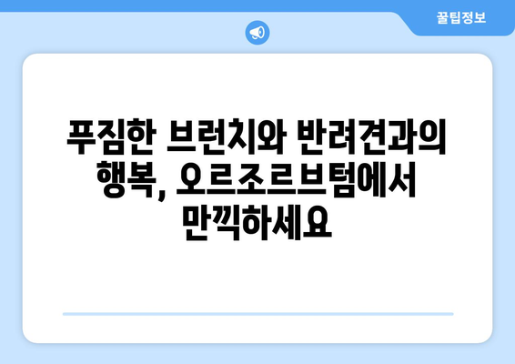 여의도 애견 동반 가능 브런치 카페| 오르조르브텀에서 즐거운 시간 보내기 | 강아지와 함께 맛있는 브런치, 서울 핫플레이스