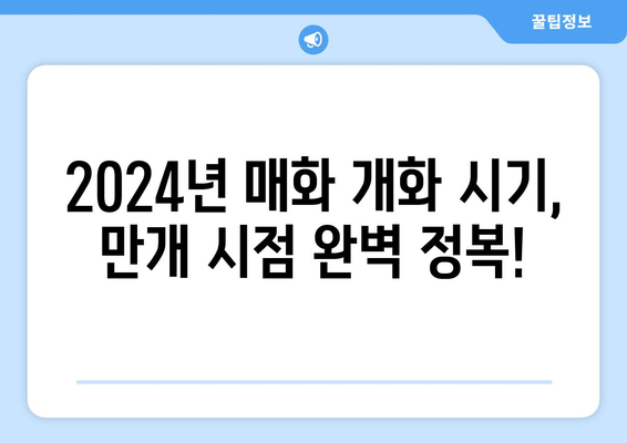 2024년 광양 매화 축제 완벽 가이드| 개화 상태, 행사 일정, 꿀팁까지! | 매화 축제, 광양 여행, 봄 축제