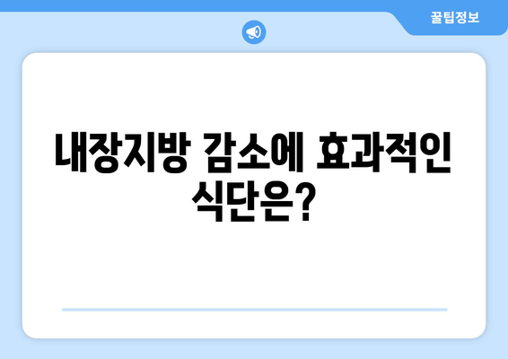 내장지방 줄이는 확실한 방법| 효과적인 운동 & 식단 가이드 | 내장지방 감소, 건강 관리, 체중 감량