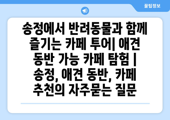 송정에서 반려동물과 함께 즐기는 카페 투어| 애견 동반 가능 카페 탐험 | 송정, 애견 동반, 카페 추천