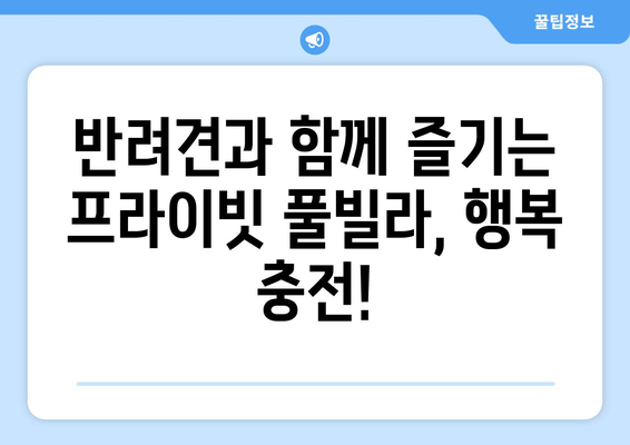 반려견과 함께 떠나기 좋은 힐링 풀빌라 펜션 5곳 추천 | 사랑하는 반려견과 특별한 여행 만들기 🐶