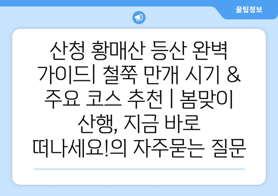 산청 황매산 등산 완벽 가이드| 철쭉 만개 시기 & 주요 코스 추천 | 봄맞이 산행, 지금 바로 떠나세요!