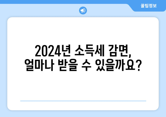 2024년 소득세 감면 놓치지 마세요! 신청 기한 & 필수 서류 완벽 정리 | 간편 가이드 & 꿀팁