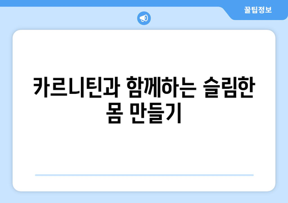 카르니틴, 엘카르니틴, L-카르니틴| 다이어트 효과와 부작용, 복용법 완벽 가이드 | 체중 감량, 지방 연소, 건강 팁