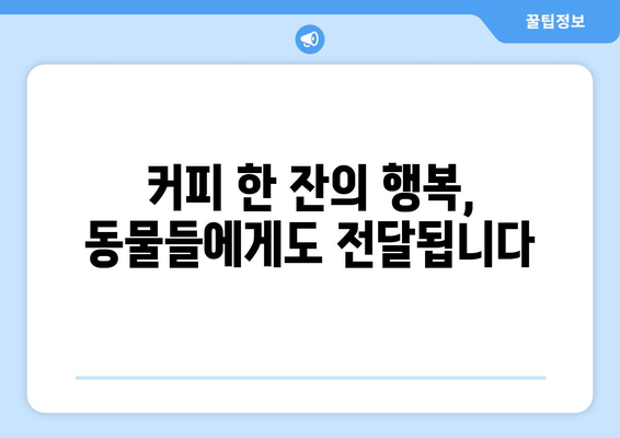 광안리 고양이 카페에서 따뜻한 나눔을| 기부로 연결되는 